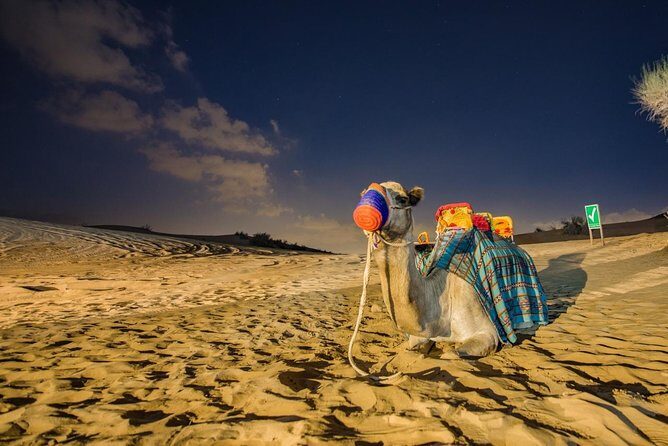 Private Evening Desert Safari with BBQ Dinner Dubai - Considering the Price
