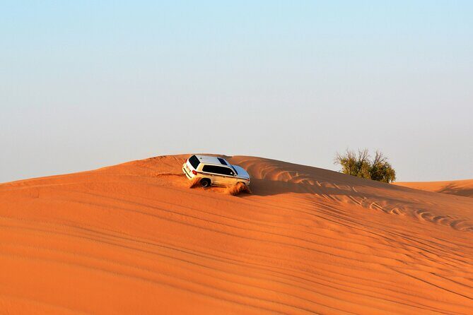Private Evening Desert Safari with BBQ Dinner Sand Boarding - What Sets This Tour Apart?