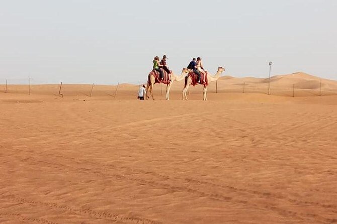 Private - Evening Desert Safari with Camel Ride, BBQ Dinner and Belly Dacne - The Sum Up