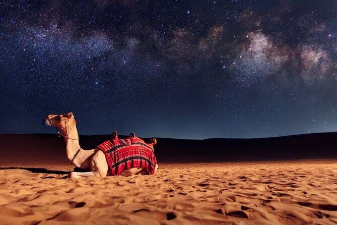 Private Evening Desert Safari with Camel Ride, SandBoard & BBQ - Final Thoughts: The Value and Who It’s Best For