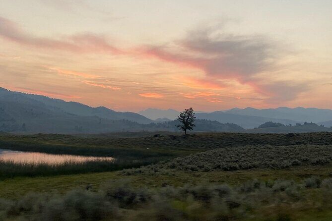 Private Evening/Sunset Wildlife Encounter Tour - What Travelers Are Loving