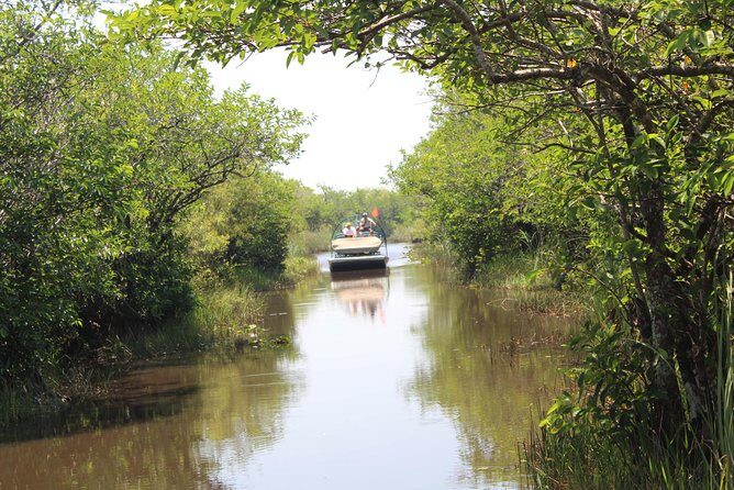 Private Everglades Airboat Tour including hotel pick up and Everglades specialist - Introduction to the Everglades Private Airboat Tour