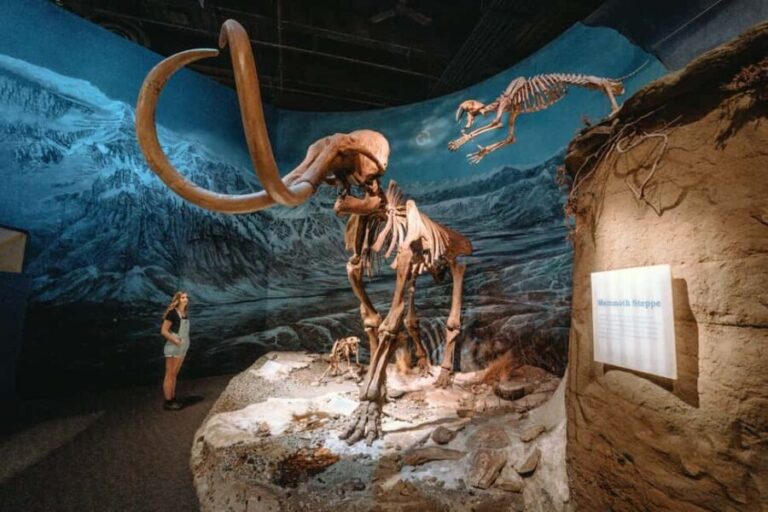 Private Exclusive Drumheller Tour with Royal Tyrrell Museum - The World’s Largest Dinosaur: A Fun Climb with Panoramic Rewards