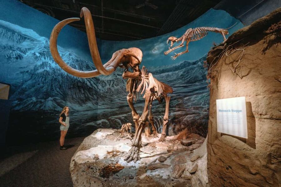 Private Exclusive Drumheller Tour with Royal Tyrrell Museum - The World’s Largest Dinosaur: A Fun Climb with Panoramic Rewards
