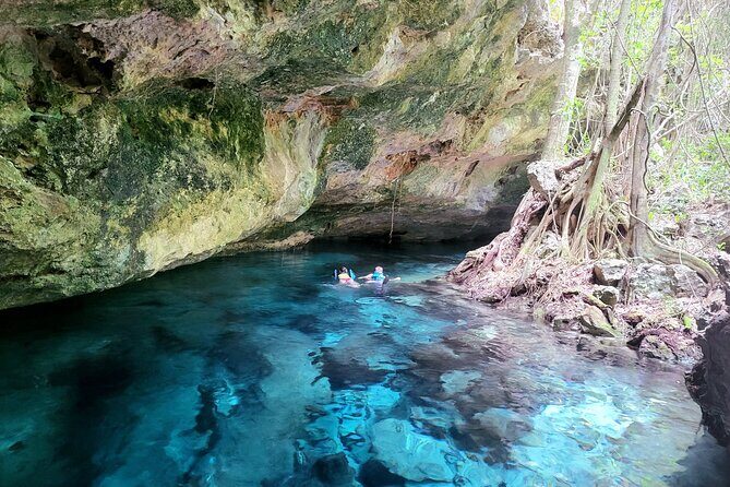 Private experience 5 cenotes at Riviera Maya - Who Will Love This Tour?