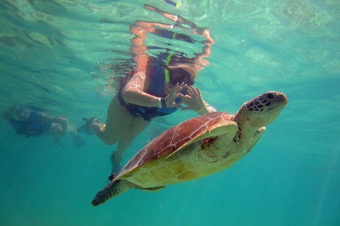 Private Experience: Akumal sea turtles encounter and Yal-kú lagoon colorfull fish snorkel. - Who Should Consider This Tour?