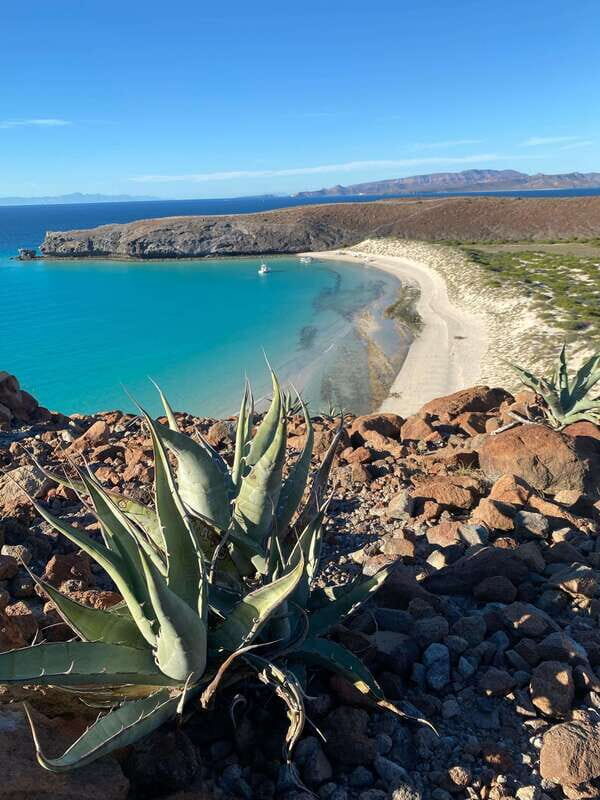 Private experience from Los Cabos to La Paz: (Balandra) - What Makes This Tour Valuable