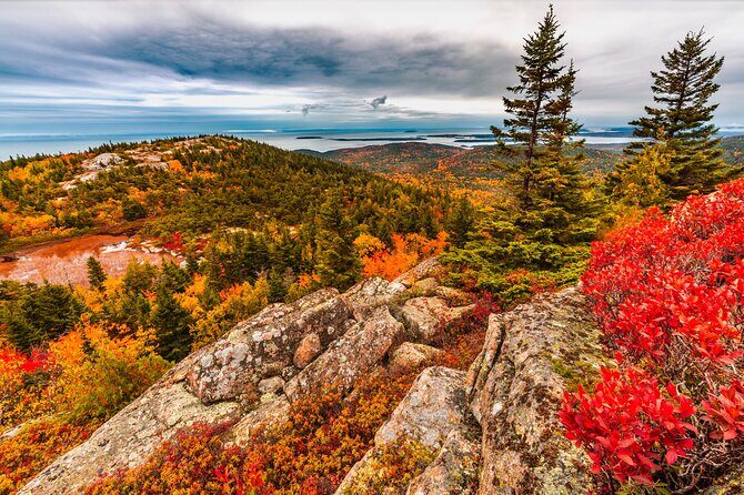 Private Exploration Tour of the Top Spots of Acadia - What the Tour Includes & Leaves Out