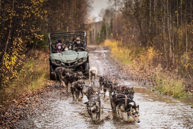 Private Fall Foliage Mushing Cart Ride in Fairbanks - Practical Details and Logistics