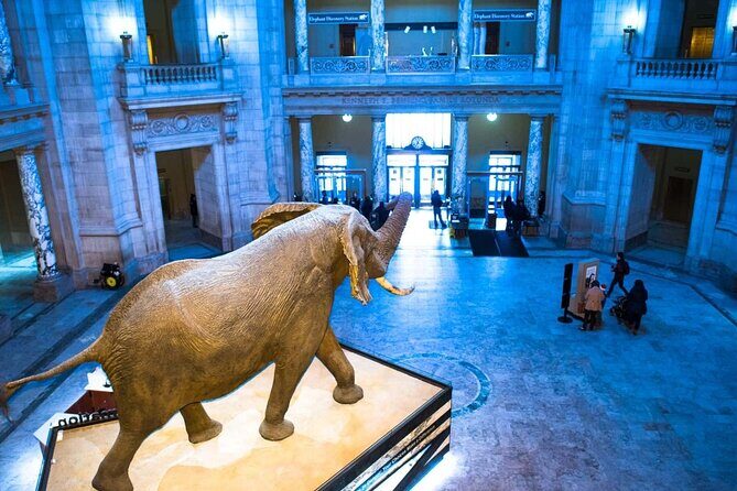 Private Family Walking Tour in Washington - An In-Depth Look at the Tour