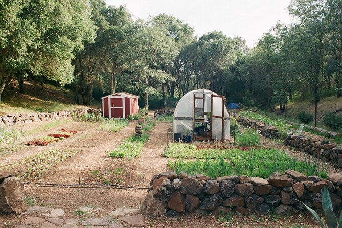 Private Farm Workshop in Napa Valley - Why This Experience Is Worth Your Time