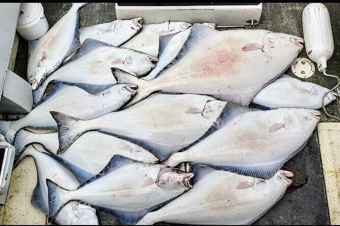 Private Fishing Adventure in Icy Strait Hoonah Alaska - Who’s This Tour Best For?