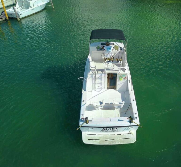 Private fishing charter 31 feet for maximun 6 people - What Makes This Trip Stand Out?