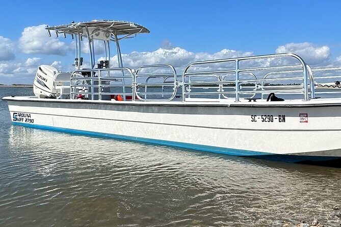 Private Folly Beach Dolphin Cruise (up to 12) - The Itinerary: A Gentle Exploration