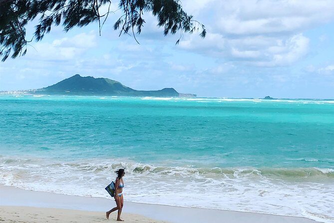 Private Fond Farewell Oahu Last Day Tour - What Travelers Love About This Tour