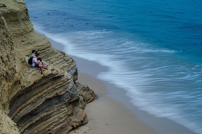 Private Full Day Coastal Tour from San Diego with private driver/guide - Who Would Love This Tour?