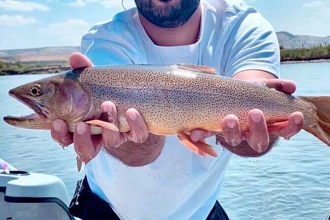 Private Full-Day Fishing Float Tour from Jackson - What the Reviews Say