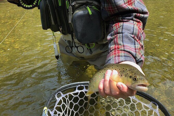 Private Full Day Fly Fishing For Beginners and Experienced Anglers