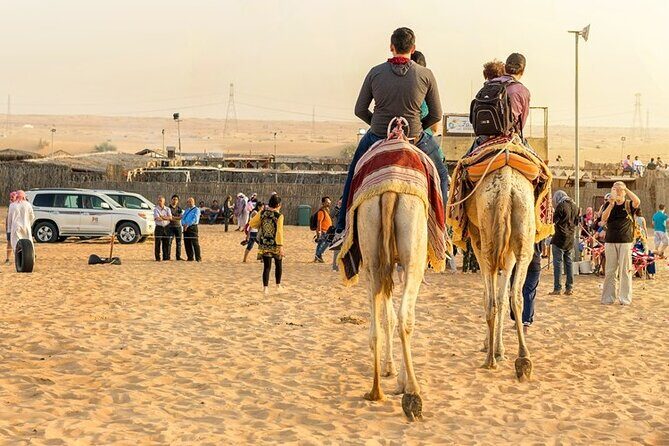 Private Full Day Guided West of Qatar Tour and Desert Safari - Who Will Love This Tour?