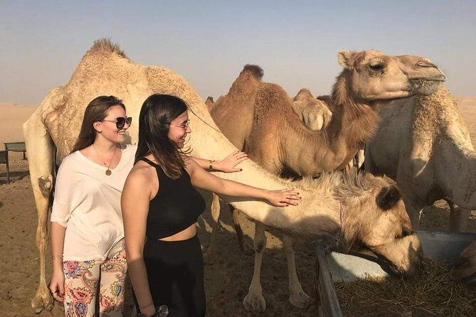 Private Full Day Liwa Desert Safari Tour with Lunch From Dubai - Who Should Consider This Tour?