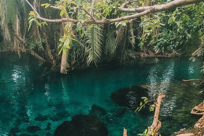 Private Full-Day Materuni Waterfalls and Kikuletwa Hotspring - Coffee Village: Learning and Tasting