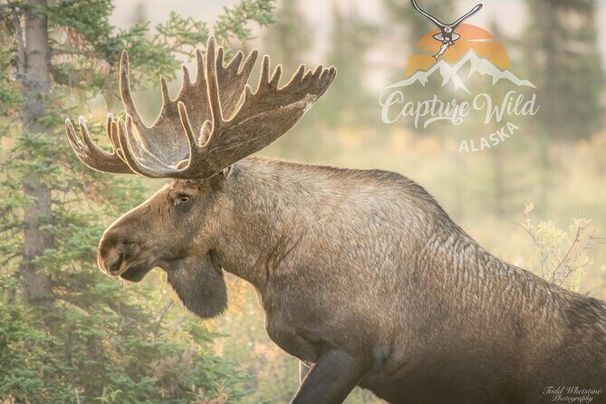 Private Full Day Photography Workshop of Fairbanks - Final Thoughts