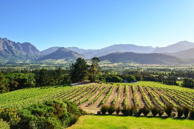 Private Full Day Stellenbosch Wine Tour - What Makes This Tour Stand Out?