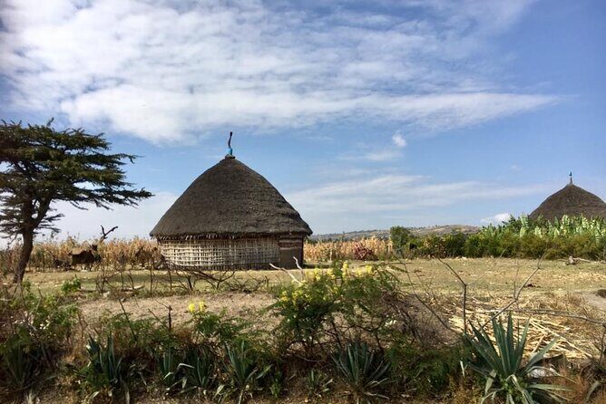 Private Full-Day Stone Age and Medieval Tour from Addis Ababa - The Itinerary in Detail