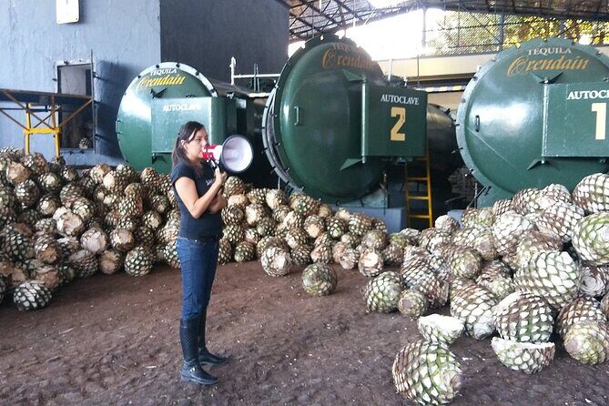 Private Full Day Tour in Guachimontones and Orendain Tequila - The Agave Landscape: Natural Beauty Meets Tradition