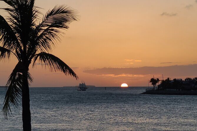 Private Full-Day Tour of Florida Keys from Key Largo to Key West - What Makes This Tour Stand Out?