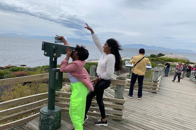 Private Full Day Tour To Cape Point, Penguins With Table Mountain. - Who Will Love This Tour?