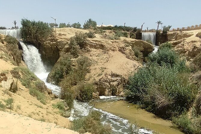 Private Full Day Tour to Fayoum Oasis with Transfer Included - Why Choose This Tour?