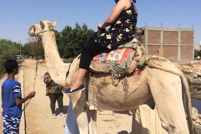 Private Full Day Tour To Luxor from Cairo by Plane,special day - Authentic Experiences & Traveler Insights