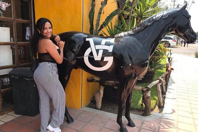 Private Full-Day Trip to Chapala and Ajijic from Guadalajara - Who Will Love This Tour?