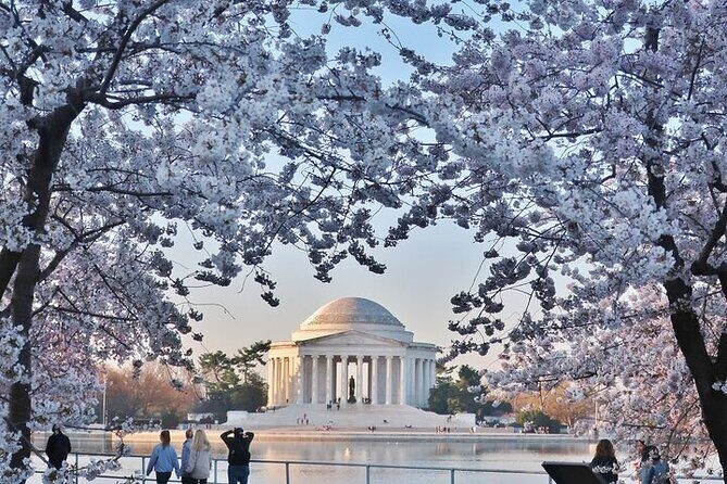 Private Full Day Washington DC Tour from New York City - A Closer Look at the Itinerary