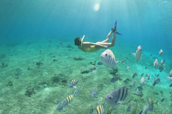 Private Glass Boat Tour of Cozumel with Snorkeling - What’s Included and What to Expect