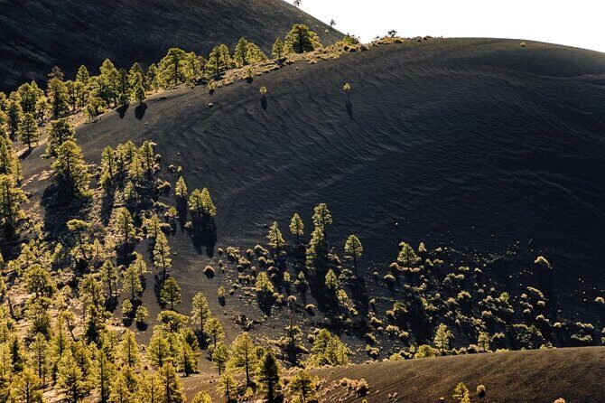 Private Grand Canyon Ultimate Day Tour - FAQs