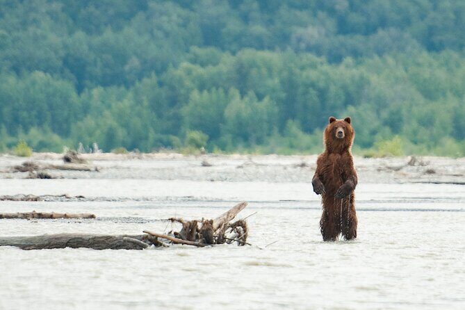 Private Group Eagle Preserve Float Trip in Haines - What’s Included and How It Matters