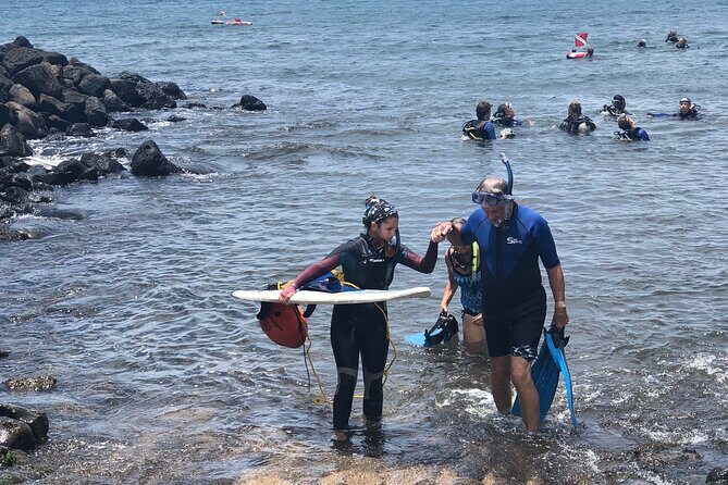 Private Group Snorkel Adventure on Tropical Reef with Sea Turtles - What to Expect During the Tour