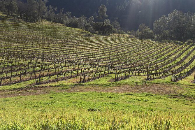 Private Group Wine Tour of Napa and Sonoma - Final Thoughts