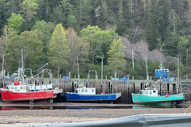 Private Guided Fundy Tour in Saint John - What the Tour Includes and Excludes
