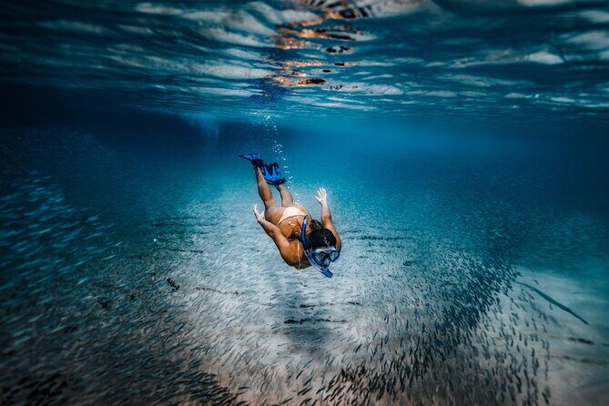 Private Guided Snorkeling in Cabo San Lucas - Analyzing the Value and Cost