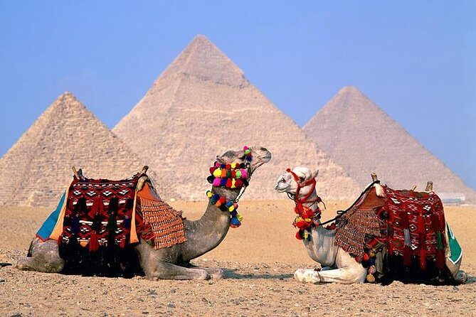 Private Guided Tour to Giza pyramids, Sphinx, Saqqara and Memphis + Lunch - Authentic Experiences and Traveler Insights