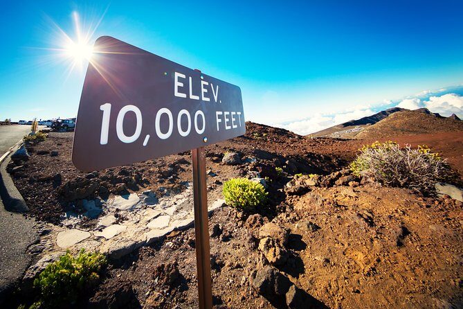 Private Haleakala Summit & Stroll from Kahului - What Travelers Say: Authentic Feedback