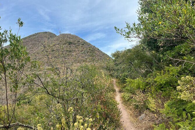 Private Half Day Hiking Experience in Picacho - Why This Tour Offers Great Value