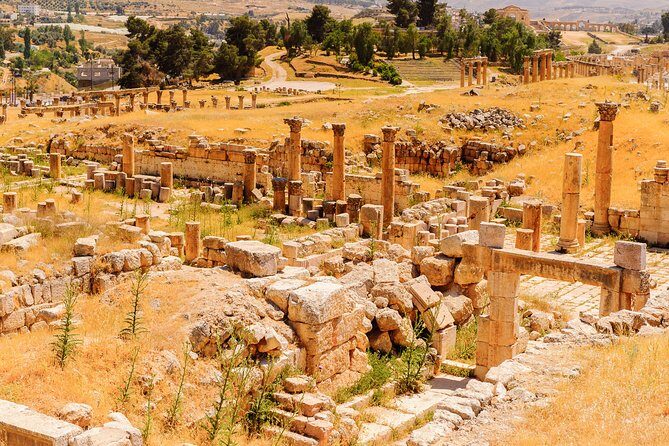 Private Half Day Jerash and Amman Sightseeing Tour - Final Thoughts