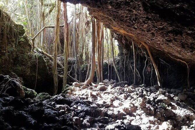 Private Half Day Road to Hana Tour - The Route and Stops in Detail
