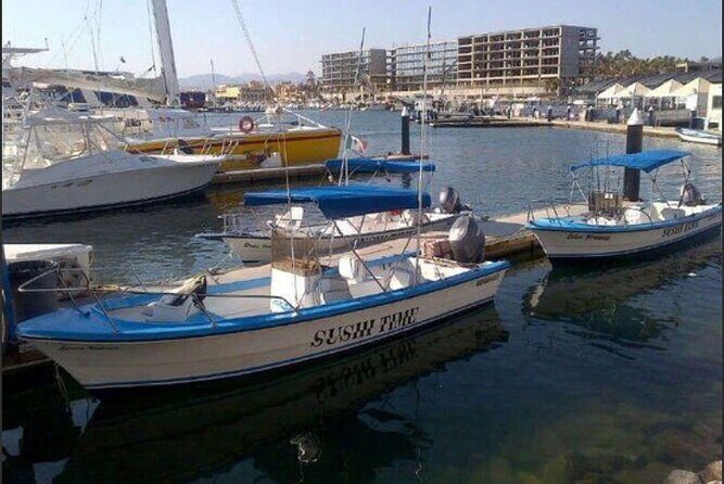 Private Half-Day Sport Fishing in Los Cabos - The Itinerary Breakdown
