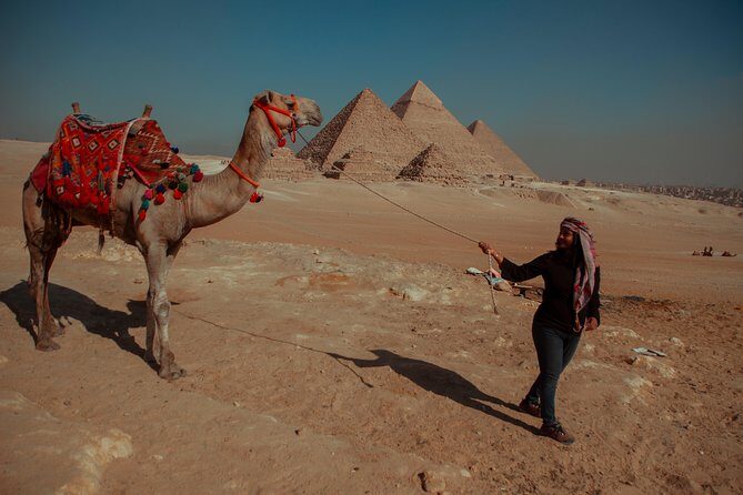 Private Half-Day Tour to Giza Pyramid ,Sphinx and Camel Ride - The Guides and Transportation