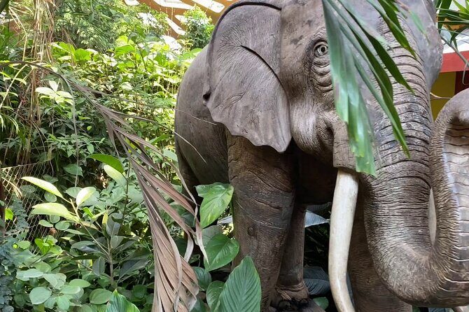 Private Half Day Tour To The Zoo In Giza - Practical Details and Insights